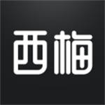 西梅 10293