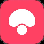 蘑菇街 v11.1.2