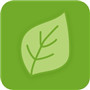 青叶小说 v1.0.0