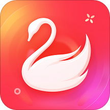 天鹅到家 v1.0