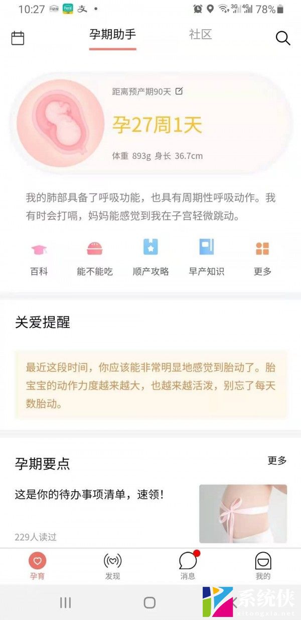 蝶窝孕育 (1)
