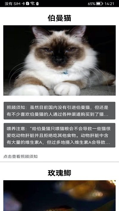 拍照识花神器 (1)