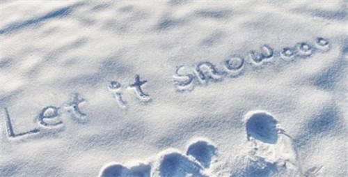 雪地写字器图片 (1)