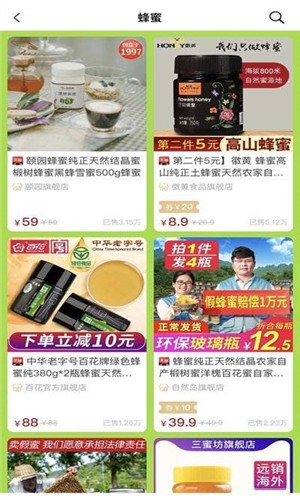 海豚生活图片 (1)