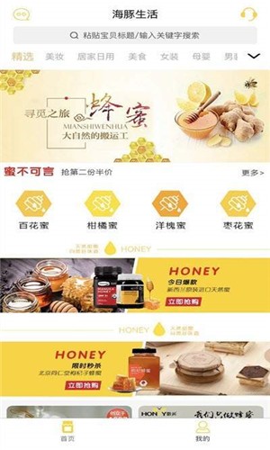 海豚生活图片 (2)