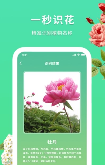 花伴识别图片 (1)
