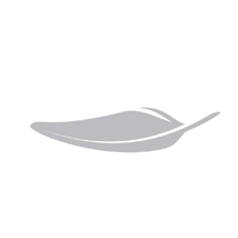 轻健身 v1.0