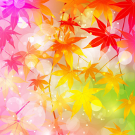 枫叶壁纸 v1.0.1