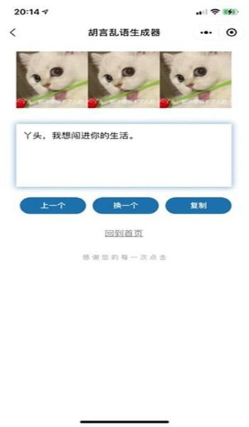 表白发疯文学文案生成器图片 (1)
