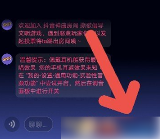 撕歌skr