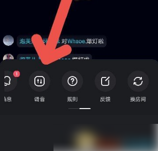 撕歌skr