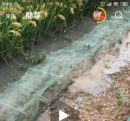 腾讯微视