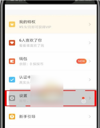探探