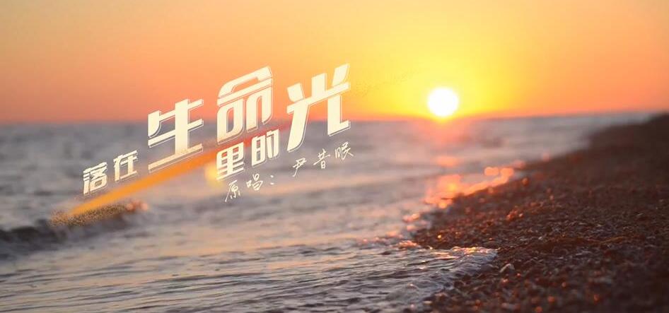 光遇落在生命里的光琴谱