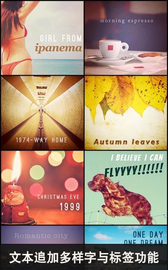 moldiv安卓版下载-moldiv官网下载 运行截图1