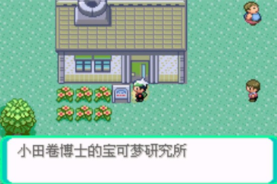口袋妖怪传说绿宝石精彩截图