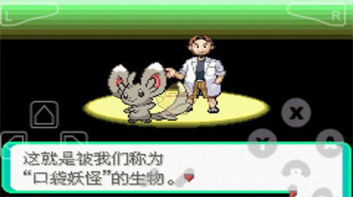 口袋妖怪漆黑的魅影最新版下载安装-口袋妖怪漆黑的魅影中文版免费下载 运行截图2