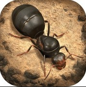 小小蚁国 v3.9.1
