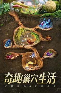 小小蚁国vivo版下载-小小蚁国破解版无限钻石版下载v3.9.1 安卓版 运行截图2