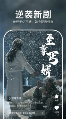 红果免费短剧2025最新版下载_红果免费短剧app下载v6.6.3.32 安卓版 运行截图3