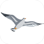 海鸟阅读 v1.0.3