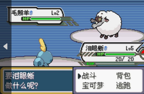 口袋妖怪剑盾游戏画面