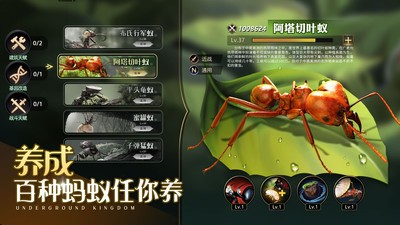 小小蚁国无限钻石版下载-小小蚁国无限资源内购 运行截图2