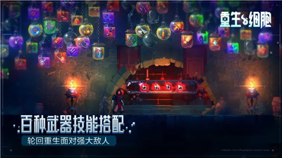 重生细胞MOD作弊菜单破解版最新版下载_重生细胞MOD作弊菜单中文版最新版本下载v3.3.22-bilibili-UO 无敌版 运行截图5