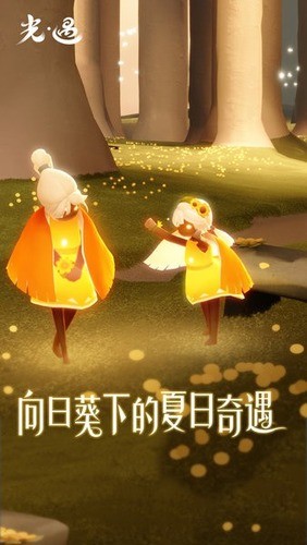 光遇vivo渠道服最新版本下载-光遇vivo渠道服下载安卓版 运行截图3
