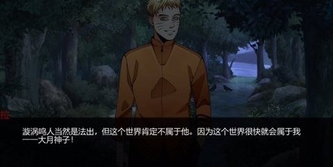 忍者之主游戏界面展示