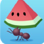 小蚁帝国 v4.2.3