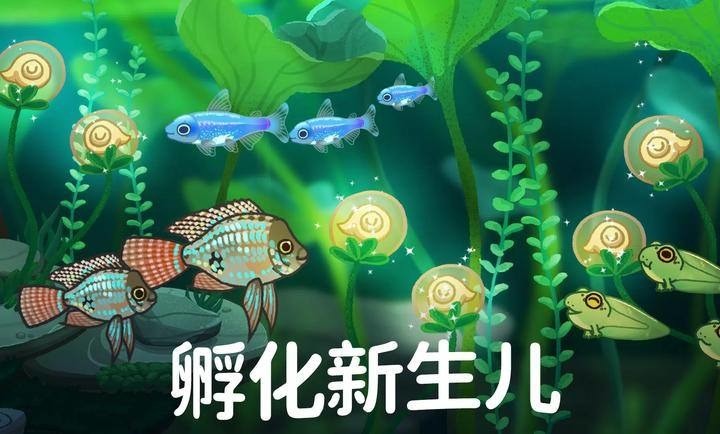 池趣游戏手机版下载安装-池趣游戏官方正版下载汉化最新版 运行截图1