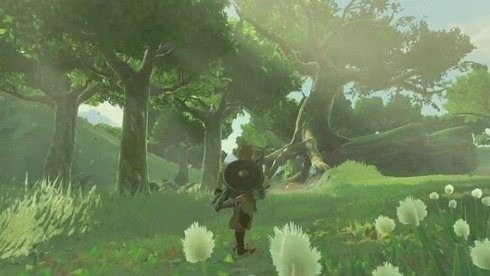 雷之神兽瓦娜波力斯