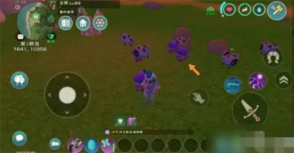 金谷草原的毒蘑菇