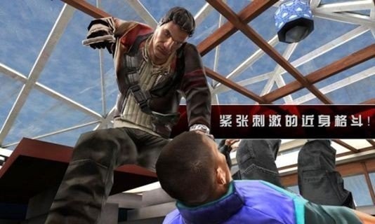 杀手2影子阴谋游戏截图