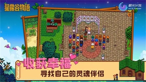 星露谷物语1.6美化版下载-星露谷物语(自带美化包)游戏下载 运行截图1