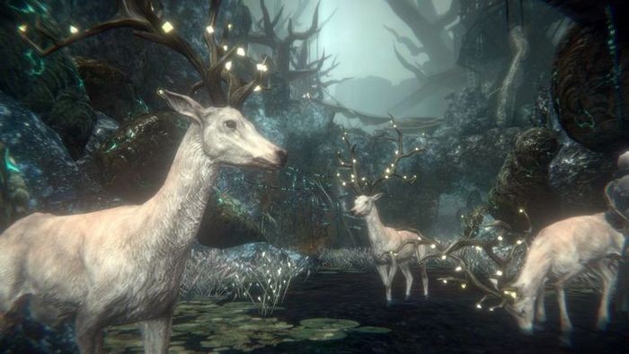 帕斯卡契约最新版安卓下载-帕斯卡契约2025最新版单机下载 运行截图2