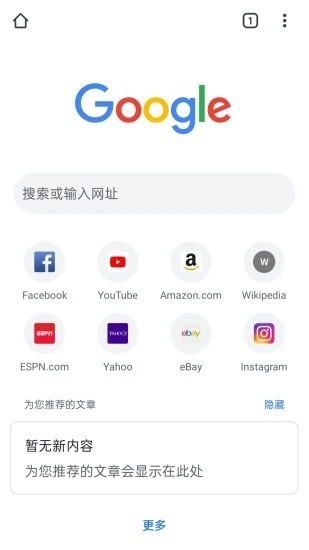 谷歌浏览器下载-谷歌浏览器2021最新版下载v78.0.3904.96 手机安卓版 运行截图3