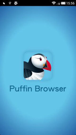 Puffin浏览器2021最新版-海鹦Puffin浏览器app安卓版最新下载v7.8.1.40497 运行截图3