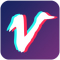 视频豆豆 v3.1.2