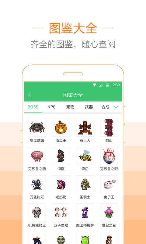 4399泰拉瑞亚助手下载-泰拉瑞亚助手免root最新版下载 运行截图3