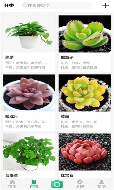 御花园养花安卓版下载-御花园养花官方版安卓下载 运行截图1