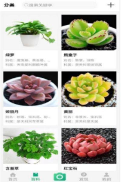 御花园养花app下载-御花园养花app最新版下载安装v2.6.1 运行截图2