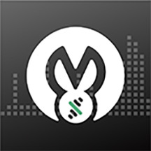 乐剪音频 v1.3.36