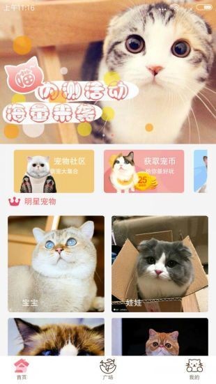 猫咪社区app免费下载_猫咪社区2020最新版app下载_猫咪社区官方下载 运行截图3